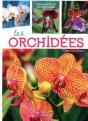 Les Orchidées - Preview