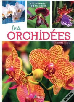 Capa do artigo Les Orchidées