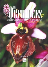 Les Orchidées Sauvages De France
