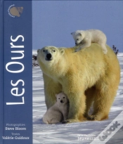 Capa do artigo Les Ours