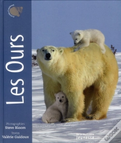 Capa do artigo Les Ours