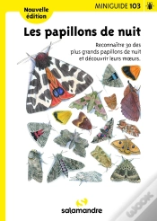 Capa do artigo Les Papillons De Nuit