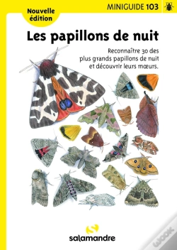 Capa do artigo Les Papillons De Nuit