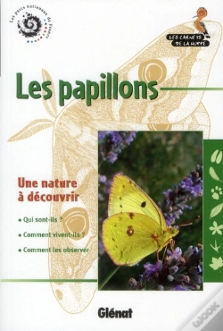 Capa do artigo Les Papillons