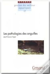 Les Pathologie Des Anguilles