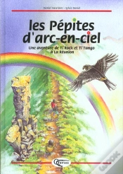 Capa do artigo Les Pepites De L