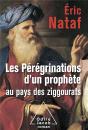 Les Peregrinations D Un Prophete Au Pays Des Ziggourats - Preview