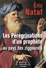 Capa do artigo Les Peregrinations D Un Prophete Au Pays Des Ziggourats