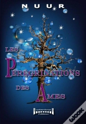 Capa do artigo Les Peregrinations Des Ames