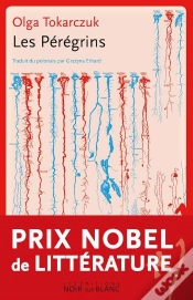 Capa do artigo Les Peregrins