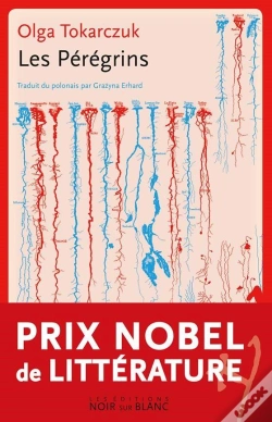 Capa do artigo Les Peregrins