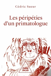 Capa do artigo Les Péripéties D
