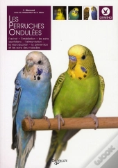 Les Perruches Ondulées