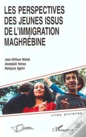 Les Perspectives Des Jeunes Issus De L'Immigration Maghrebine
