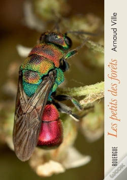 Capa do artigo Les Petits Des Forêts