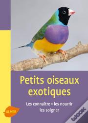 Les Petits Oiseaux Exotiques