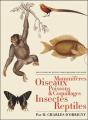 Les Planches Du Dictionnaire D'Histoire Naturelle - Preview