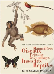 Capa do artigo Les Planches Du Dictionnaire D