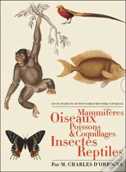 Capa do artigo Les Planches Du Dictionnaire D'Histoire Naturelle