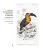 Les Planches Du Dictionnaire Universel D'Histoire Naturelle De Charles D'Orbigny ; Dessins D'Animaux Au Xix Siècle - Preview