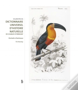 Capa do artigo Les Planches Du Dictionnaire Universel D'Histoire Naturelle De Charles D'Orbigny ; Dessins D'Animaux Au Xix Siècle