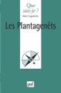 Les Plantagenêts - Preview