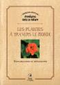 Les Plantes A Travers Le Monde - Explorations Et Reflexions - Preview