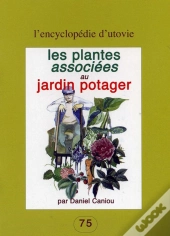 Les Plantes Associées Au Jardin Potager