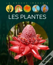 Les Plantes