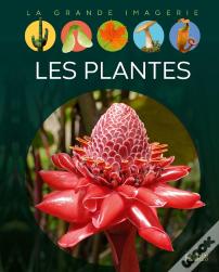 Les Plantes