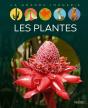 Les Plantes - Preview