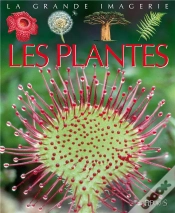 Capa do artigo Les Plantes