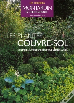 Capa do artigo Les Plantes Couvre-Sol ; Les Meilleures Espèces Pour Votre Jardin
