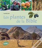 Les Plantes De La Bible