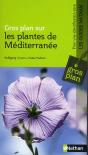 Les Plantes De Méditerranée - Preview