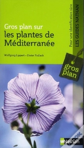 Les Plantes De Méditerranée