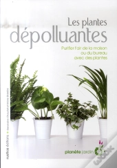 Les Plantes Dépolluantes