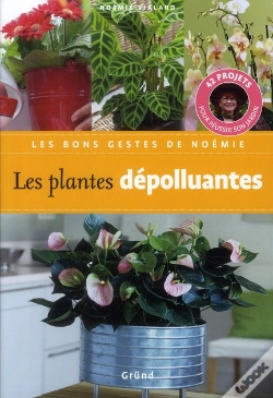 Capa do artigo Les Plantes Depolluantes