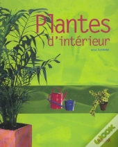 Les Plantes D'Interieur