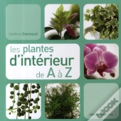 Les Plantes D'Intérieur De A À Z