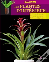 Capa do artigo Les Plantes D