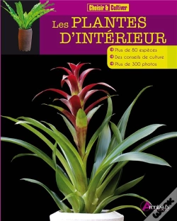 Capa do artigo Les Plantes D'Intérieur