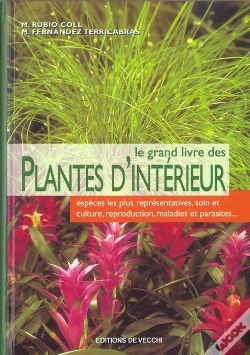 Capa do artigo Les Plantes D'Interieur