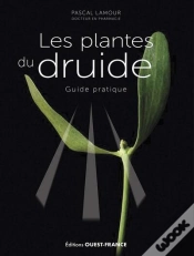 Capa do artigo Les Plantes Du Druide : Guide Pratique