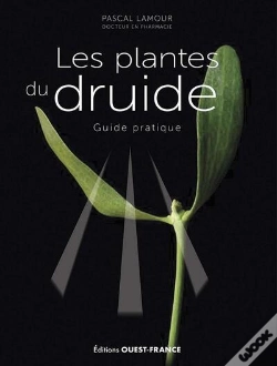 Capa do artigo Les Plantes Du Druide : Guide Pratique