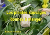 Capa do artigo Les Plantes Sauvages Bonnes À Manger