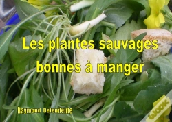 Capa do artigo Les Plantes Sauvages Bonnes À Manger