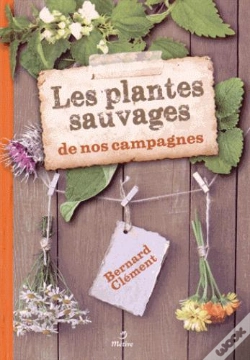 Capa do artigo Les Plantes Sauvages De Nos Campagnes