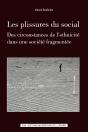 Les Plissures Du Social : Des Circonstances De L'Ethnicité Dans Une Société Fragmentée - Preview