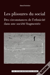 Les Plissures Du Social : Des Circonstances De L'Ethnicité Dans Une Société Fragmentée